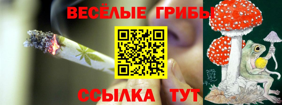 Псилоцибиновые грибы прущие грибы  Вход с VPN  Галлюциногенные грибы MAGIC MUSHROOMS  Дагестанские Огни 